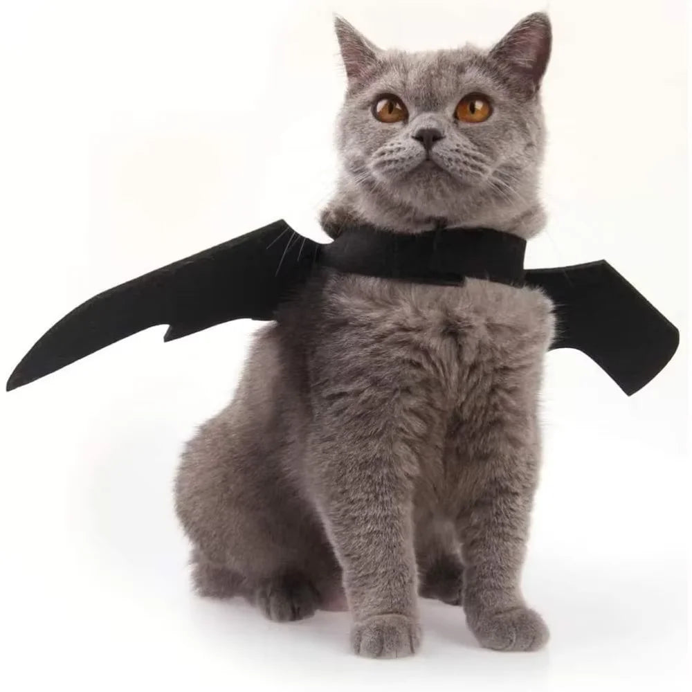 1 Pack Cat Costume Halloween Costume Bat Wings Pet Costume Halloween Party Dress Up Accessories for Cats, Small Dogs, Puppies