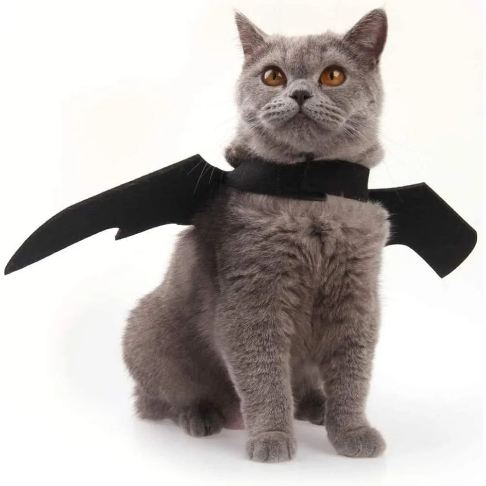 1 Pack Cat Costume Halloween Costume Bat Wings Pet Costume Halloween Party Dress Up Accessories for Cats, Small Dogs, Puppies